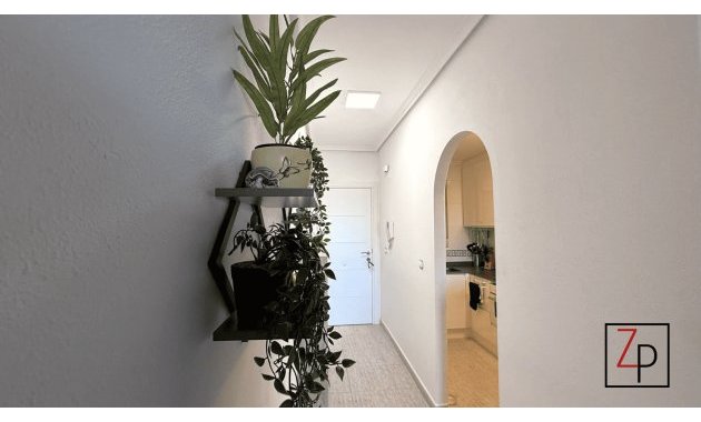 Reventa - Apartamento -
Almoradí