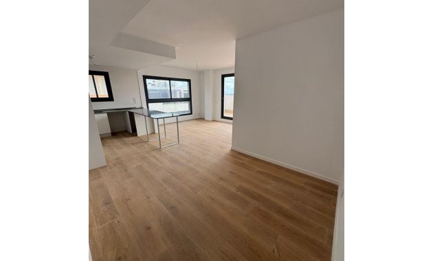 Obra nueva - Ático -
Alicante - Benalua