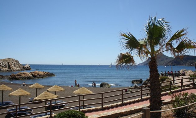 Obra nueva - Adosado -
La Union - centro