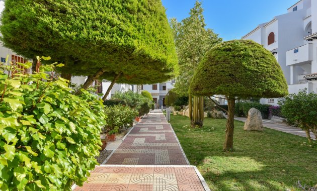 Resale - Apartment  -
Ciudad Quesada