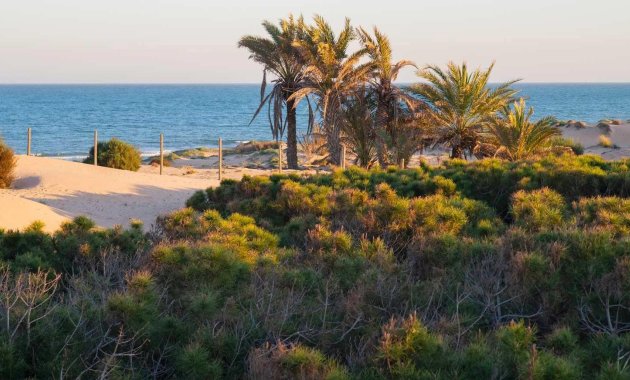 New Build - Penthouse -
Guardamar del Segura - Avda del Puerto