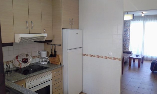 New Build - Penthouse -
Aguilas - Collados
