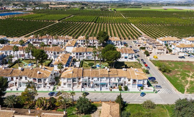 Resale - Apartment  -
Torrevieja - Lago Jardin