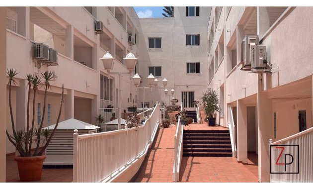 Resale - Apartment  -
San Miguel de Salinas - Pueblo