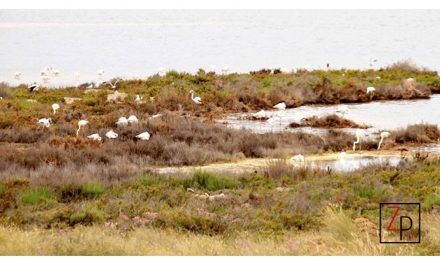 Endursala - Einbýlishús -
Torrevieja - Torretas